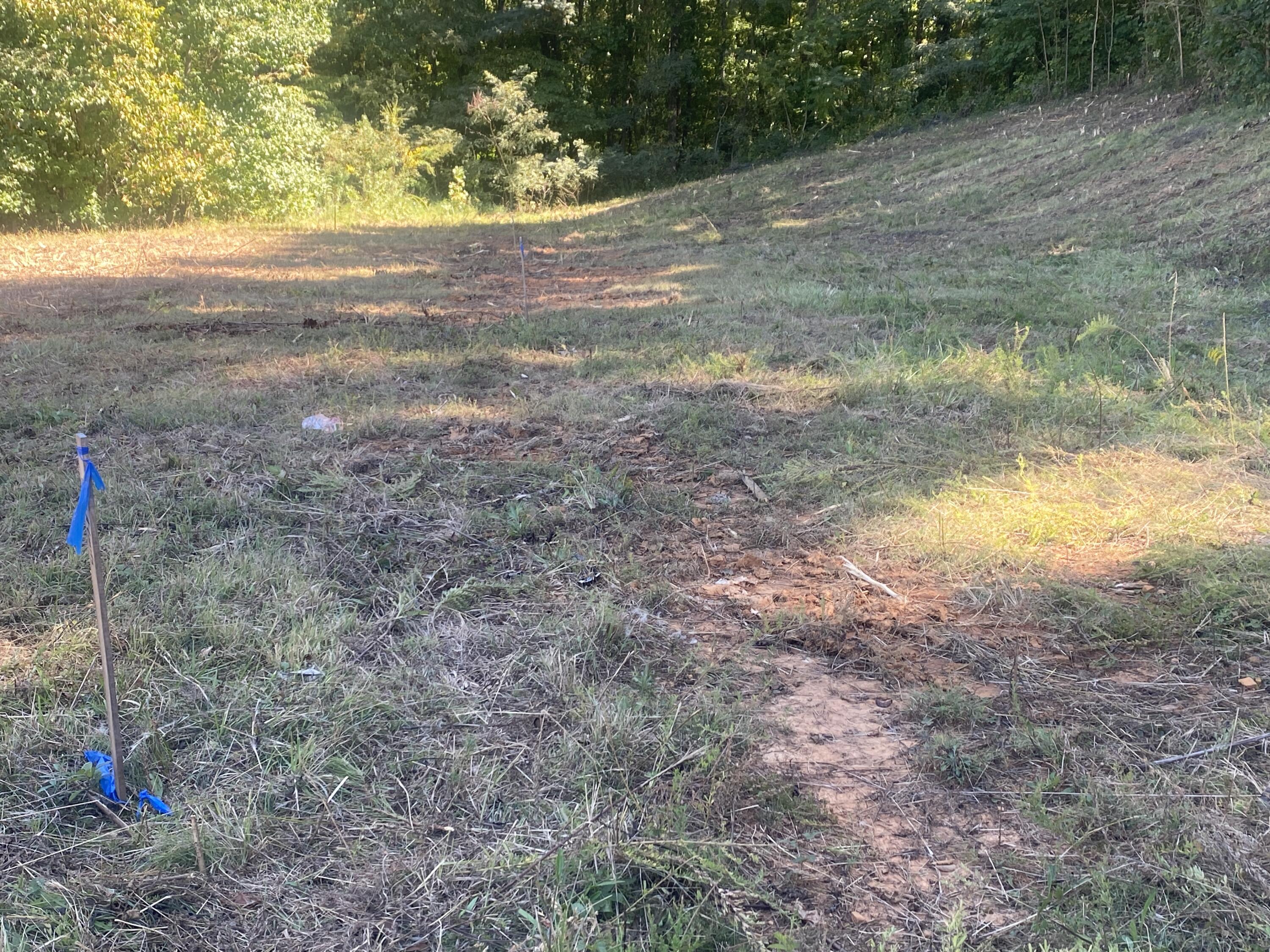 0 Erwin Highway, Unit 2 11 Greeneville, TN 37745 - Photo 22 of 30 IMG_3836