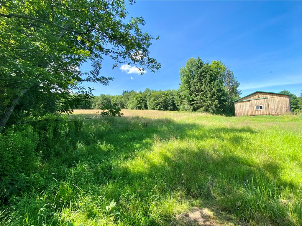 1939 Dry Brook Road Hancock, NY 13783 - Photo 18 of 25 field and barn