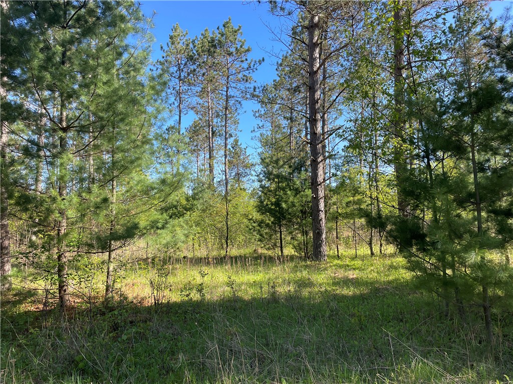 Lot 2 Murphy Boulevard Hayward, WI 54843 - Photo 4 of 10