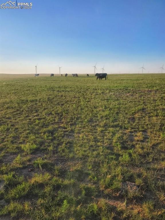 169 County Road Matheson, CO 80830 - Photo 1 of 14 View of mother earth's splendor with a rural view