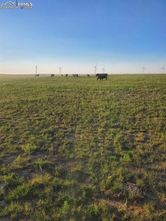 a view of a field with an ocean