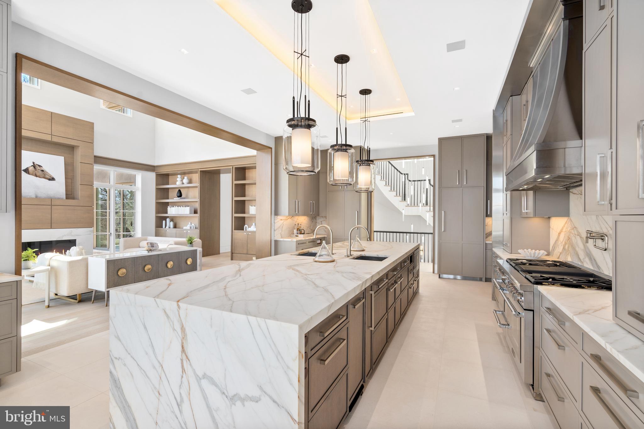 700 Bulls Neck Road McLean, VA 22102 - Photo 14 of 57 Design input by Jose Andres