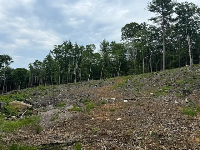 a view of outdoor space with trees all around