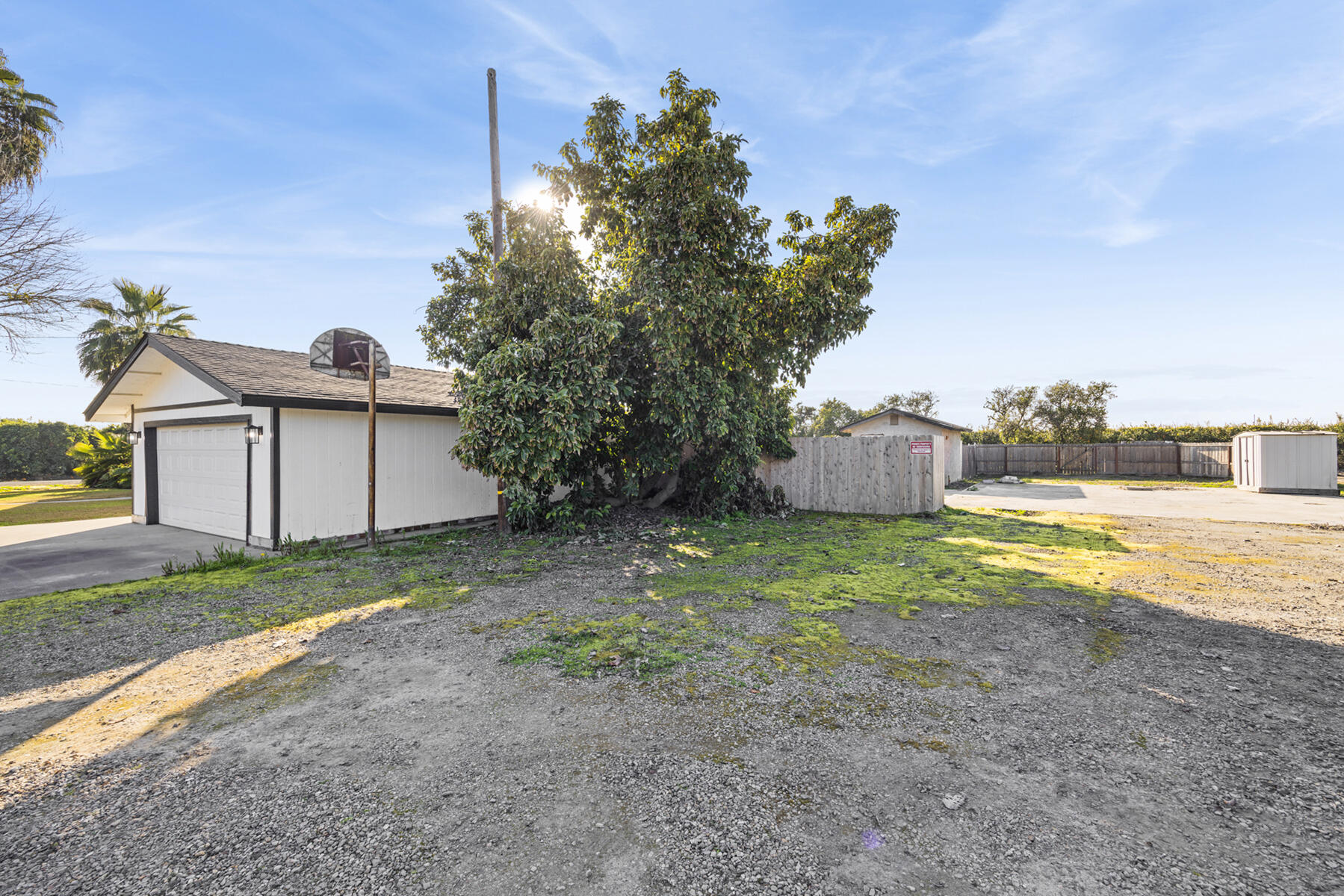 29205 Road 210 Exeter, CA 93221 - Photo 5 of 44 a view of a house with backyard and a tree