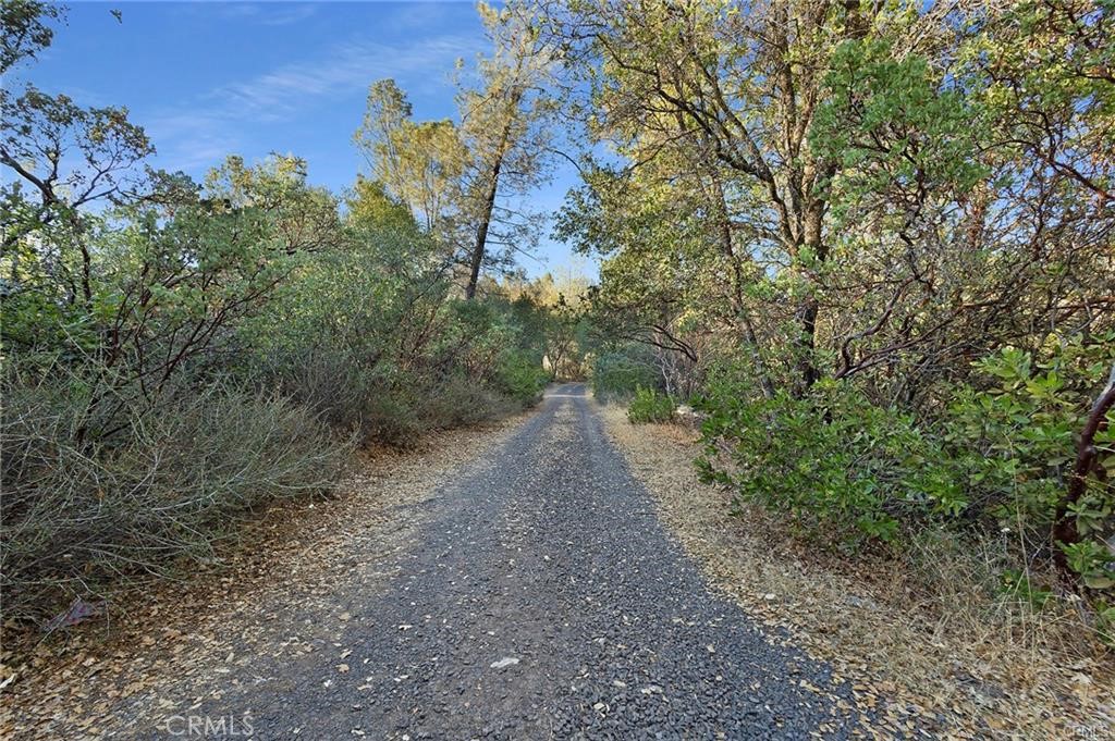 0 Swedes Flat Road Bangor, CA 95914 - Photo 4 of 37