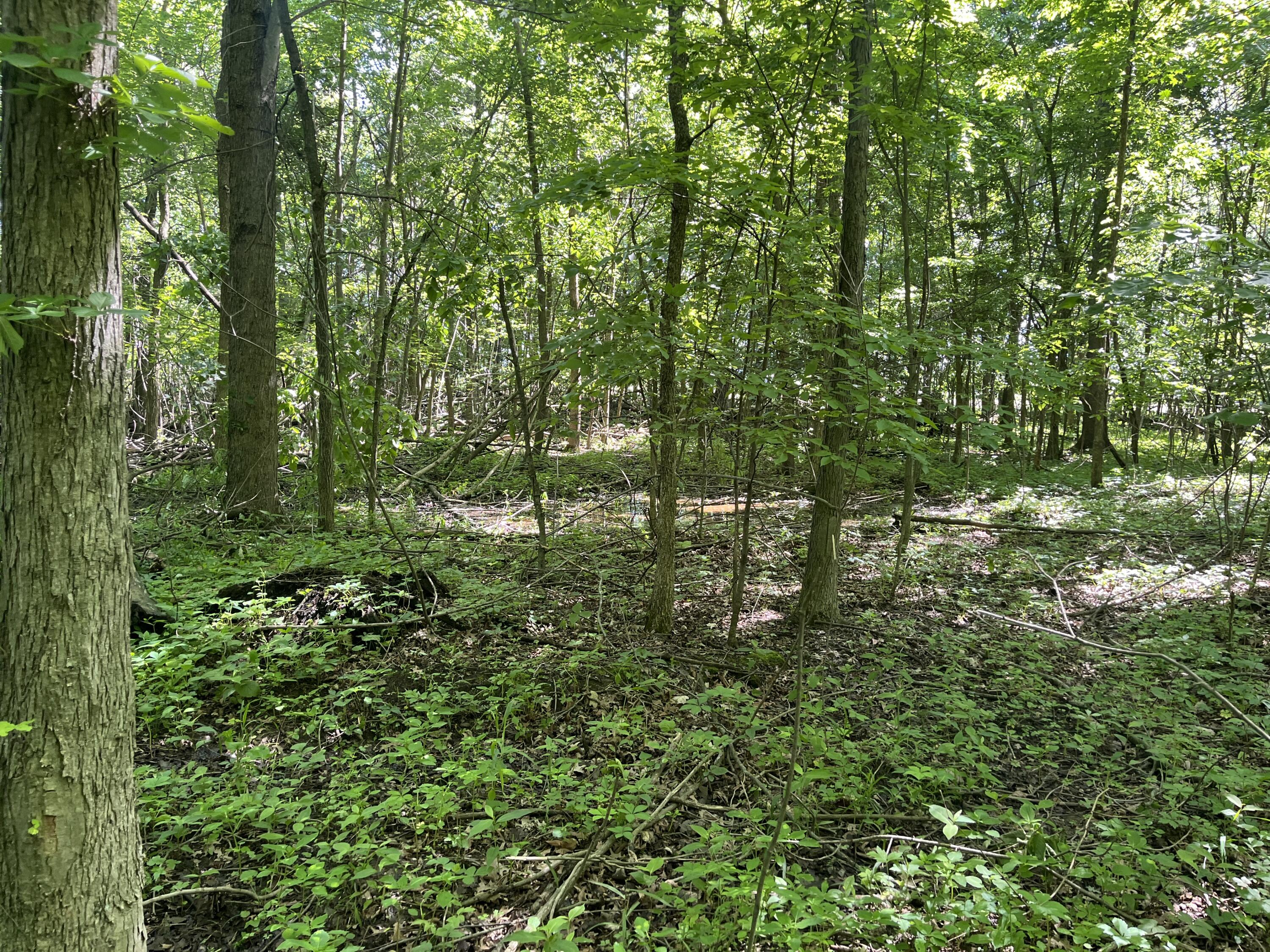 0 Boundary Road Richwood, OH 43344 - Photo 16 of 32