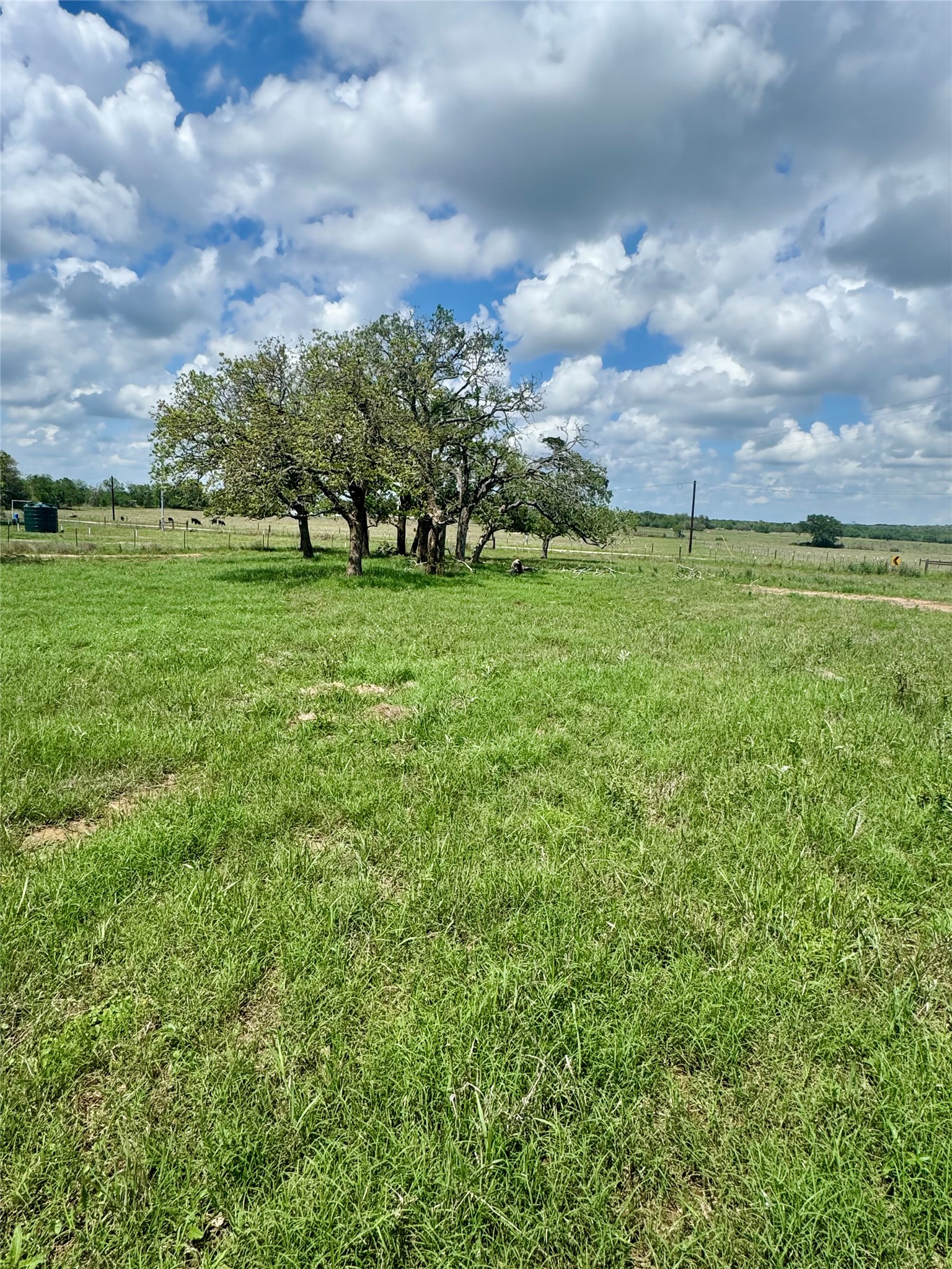 Tbd Lot 10 Tbd Road Rosanky, TX 78953 - Photo 3 of 7