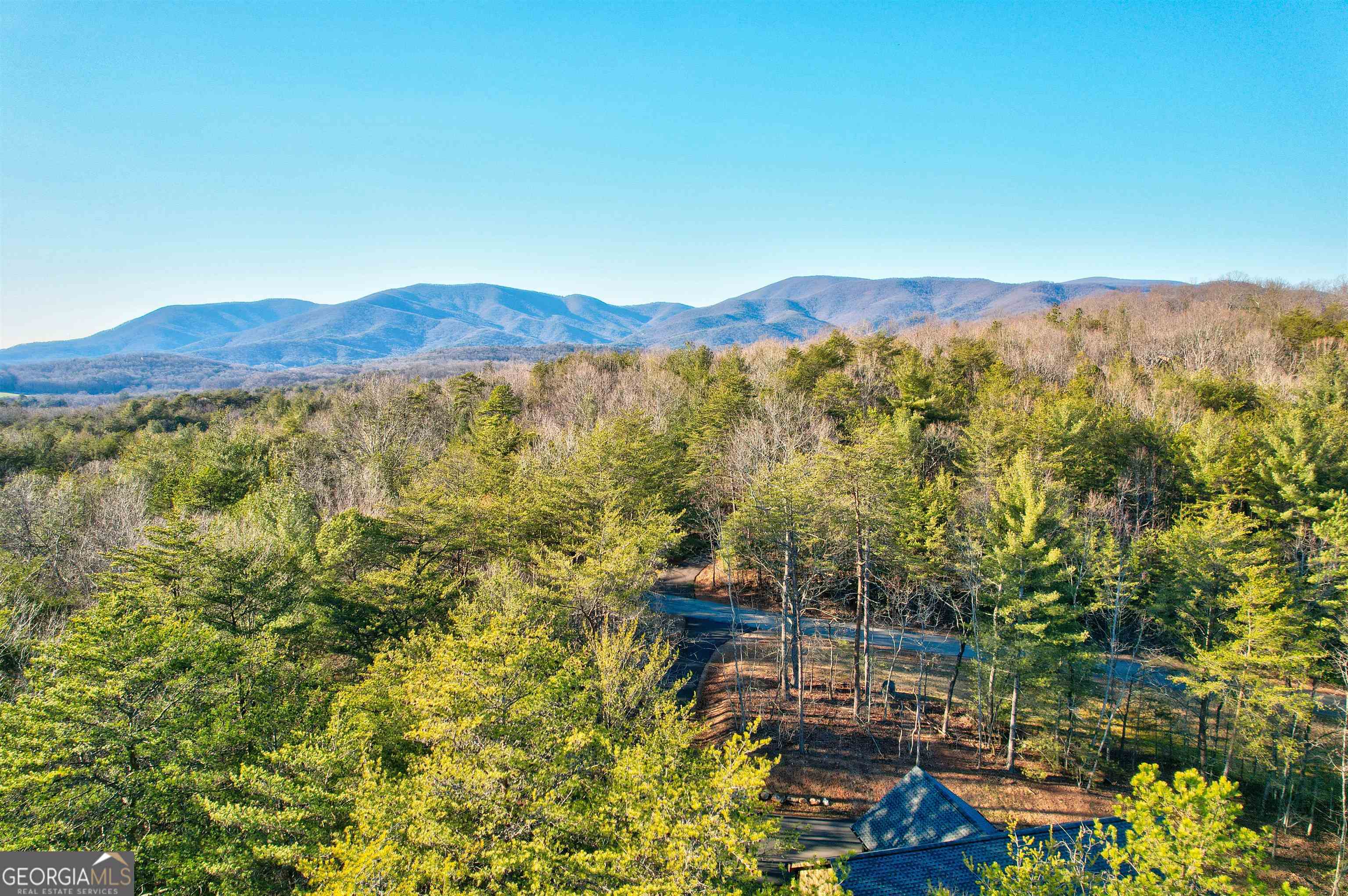 48 Mt Mcgruder Rd- 48 26 Ac Ellijay Ga  