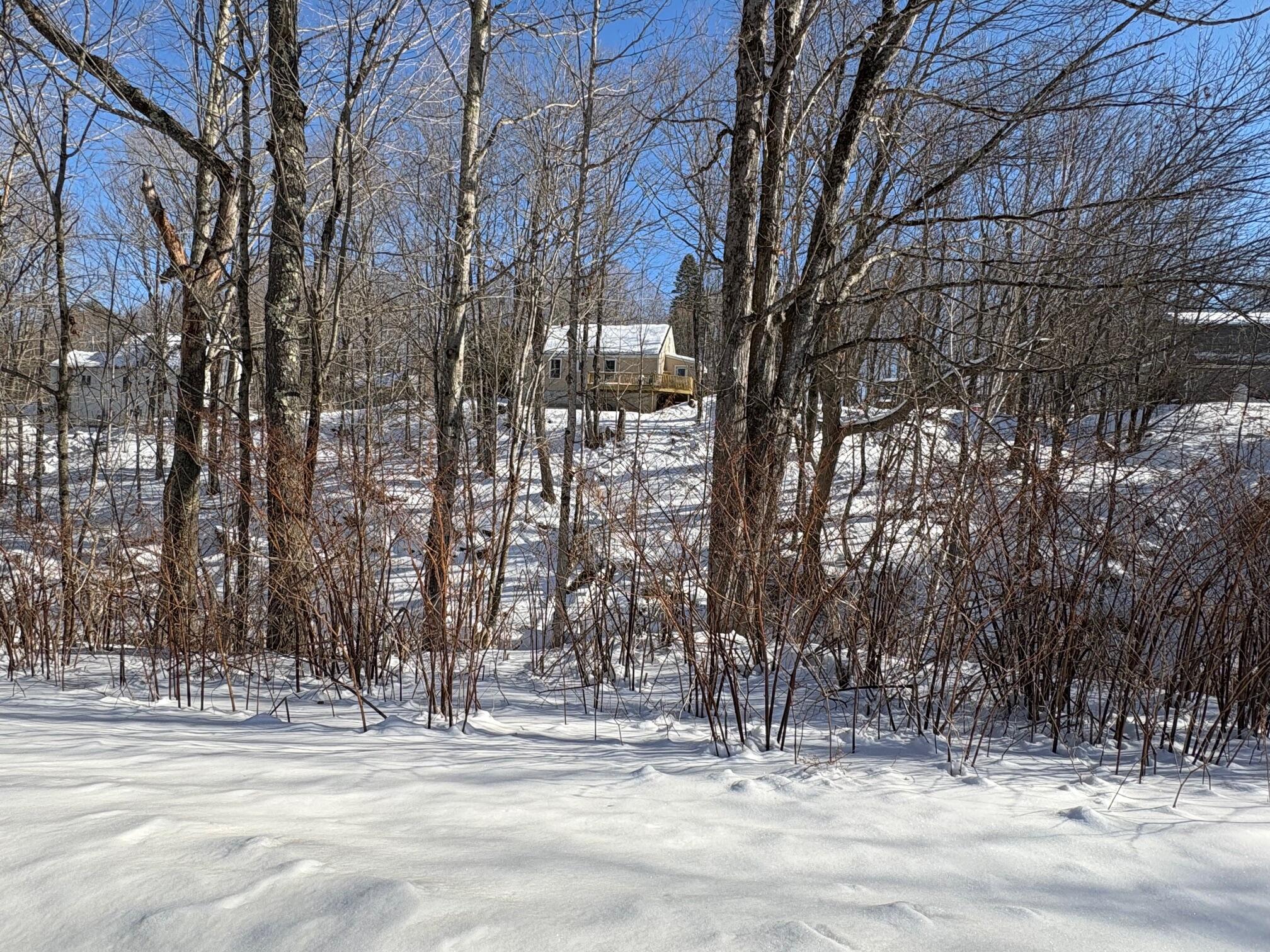 39 High Street Freedom, ME 04941 - Photo 23 of 27 IMG_6538