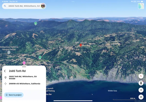 a view of a tree in a field