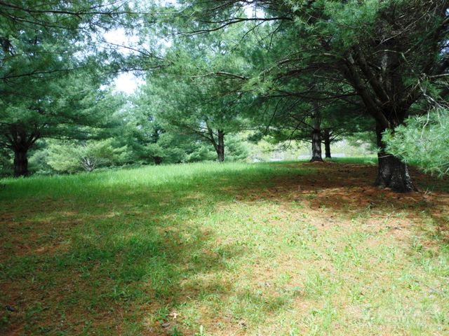 461 Cross Creek Road Sparta, NC 28675 - Photo 4 of 14 a view of a yard with a tree
