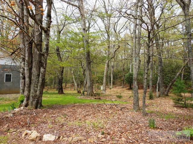461 Cross Creek Road Sparta, NC 28675 - Photo 5 of 14 a backyard of a house with lots of green space