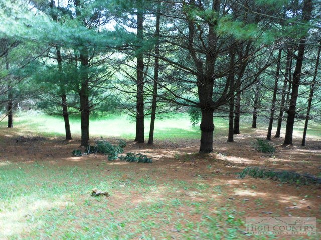 461 Cross Creek Road Sparta, NC 28675 - Photo 6 of 14 a view of a tree in the middle of a yard