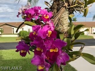 314 Reynolds Court Naples, FL 34112 - Photo 22 of 30