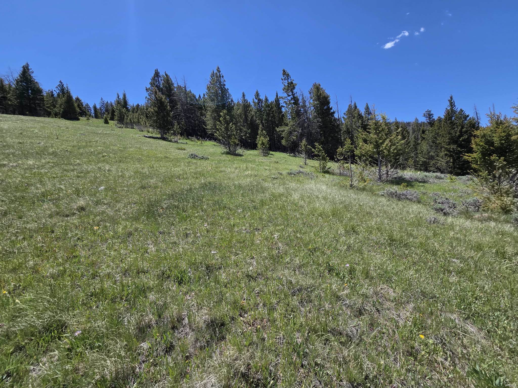 3 Starry Way Dubois, WY 82513 - Photo 8 of 30
