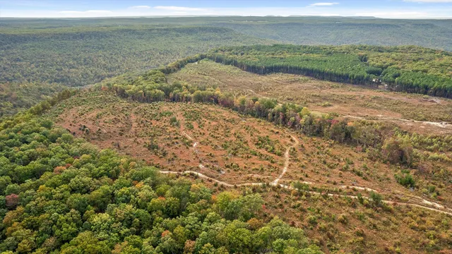 $599,900 | 0 Westview Road, Spencer, TN 38585