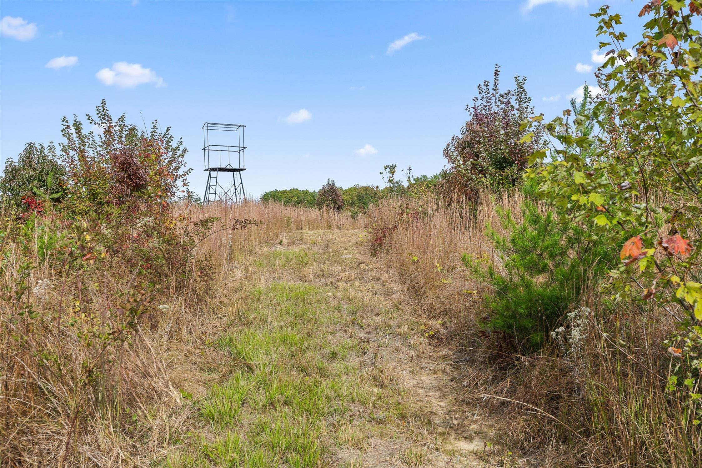 0 Westview Road Spencer, TN 38585 - Photo 19 of 39 Westview Road, Spencer, TN 38585