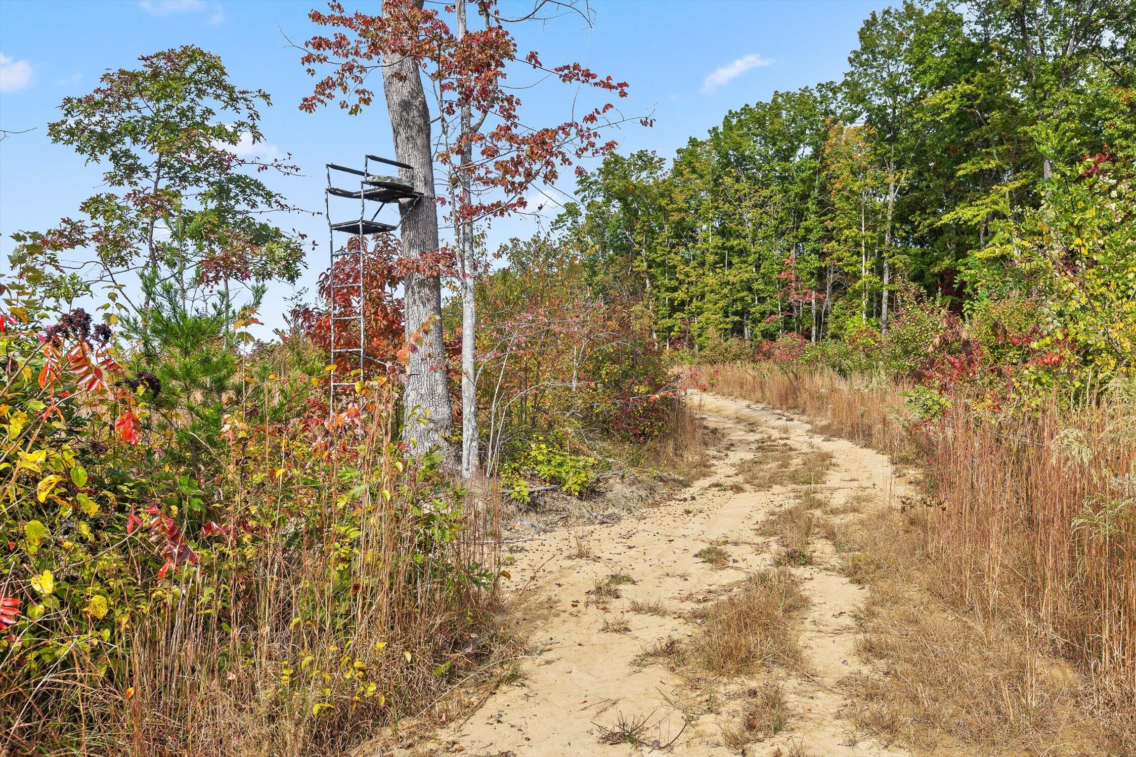 0 Westview Road Spencer, TN 38585 - Photo 21 of 39 Westview Road, Spencer, TN 38585