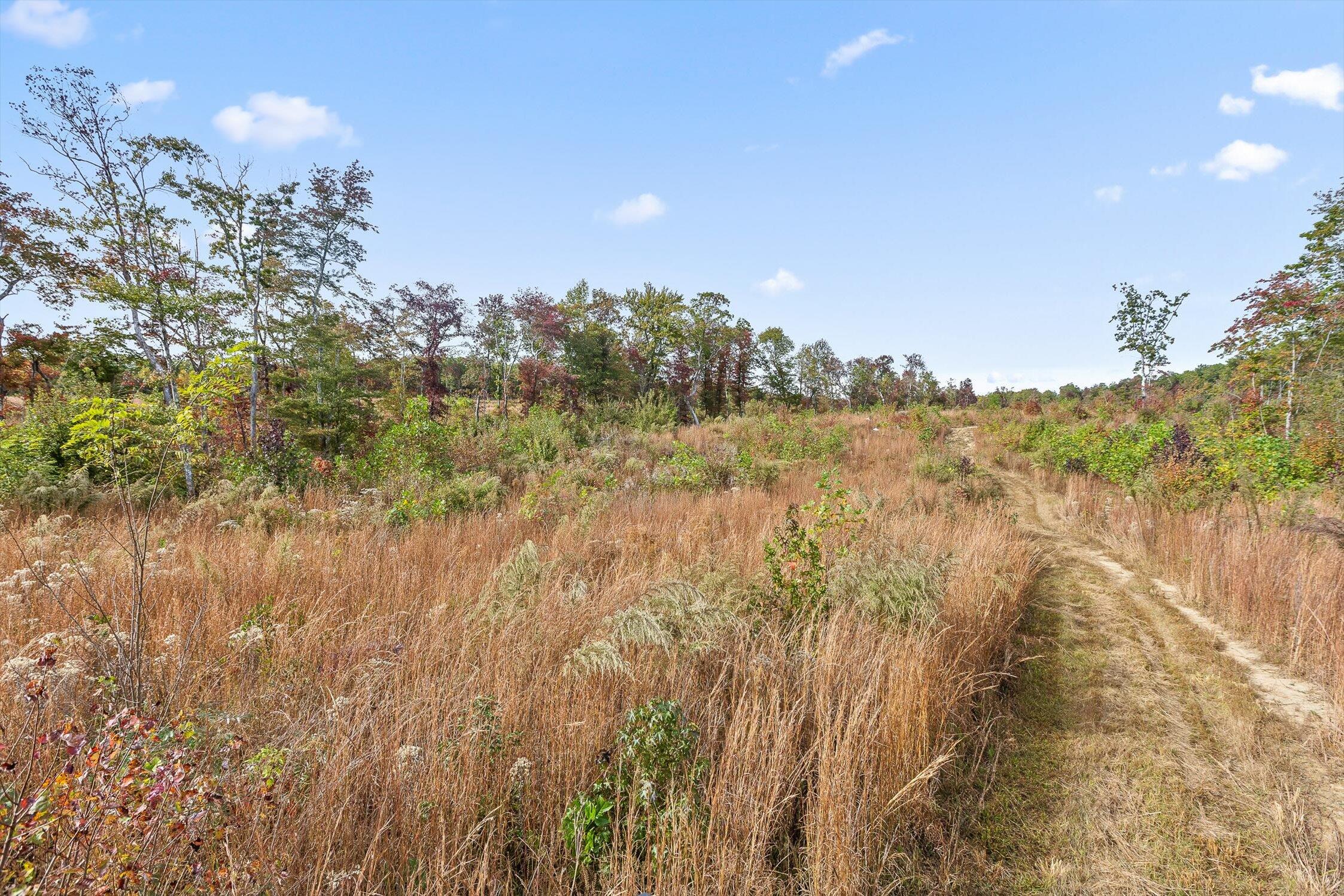 0 Westview Road Spencer, TN 38585 - Photo 22 of 39 Westview Road, Spencer, TN 38585