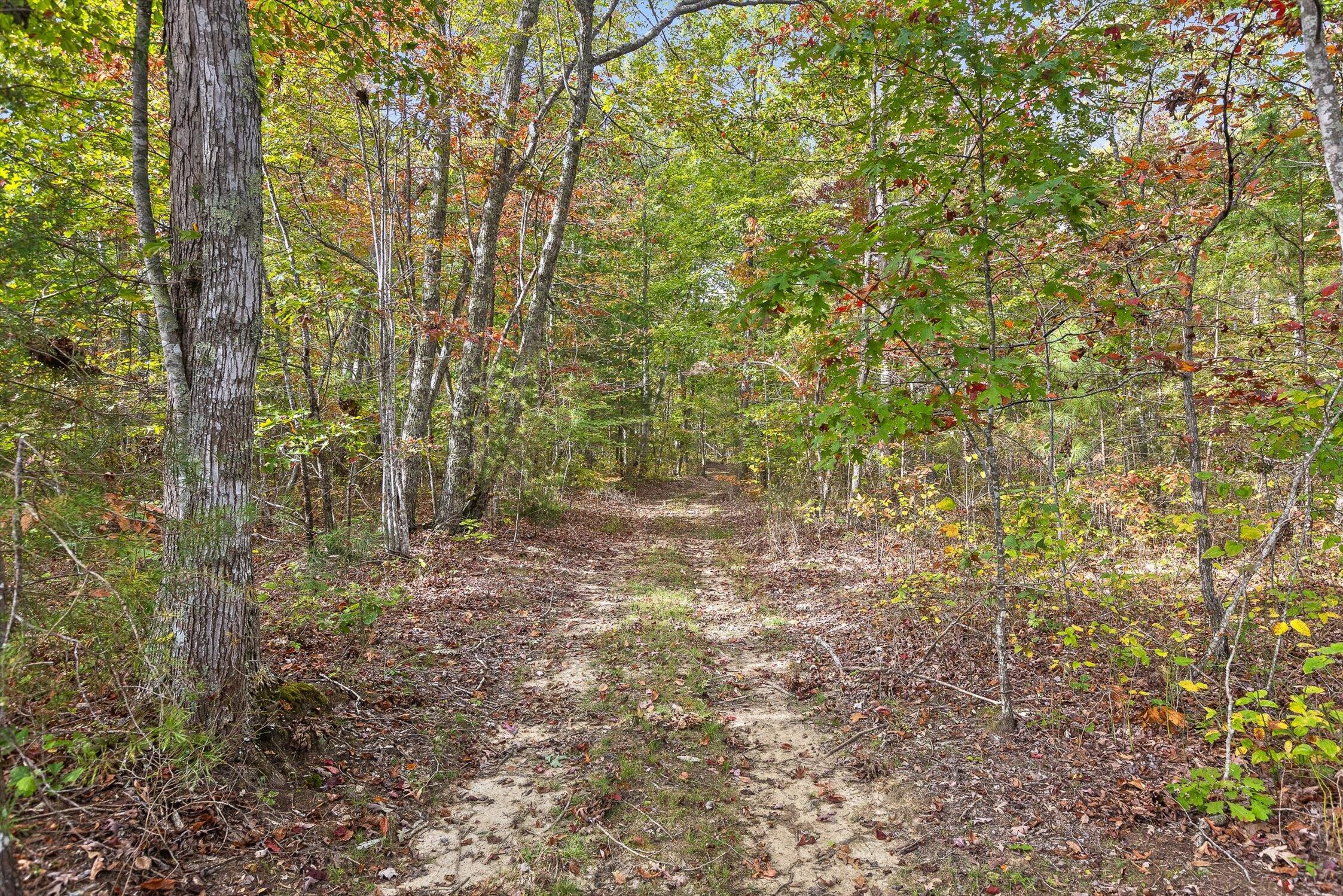 0 Westview Road Spencer, TN 38585 - Photo 25 of 39 Westview Road, Spencer, TN 38585