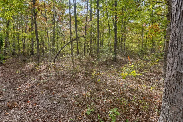 $599,900 | 0 Westview Road, Spencer, TN 38585