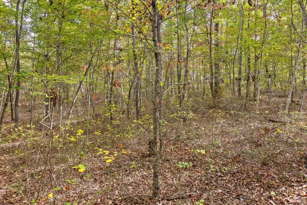 $499,900 | 0 Westview Road, Spencer, TN 38585