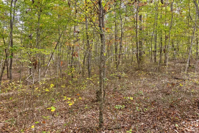 $599,900 | 0 Westview Road, Spencer, TN 38585