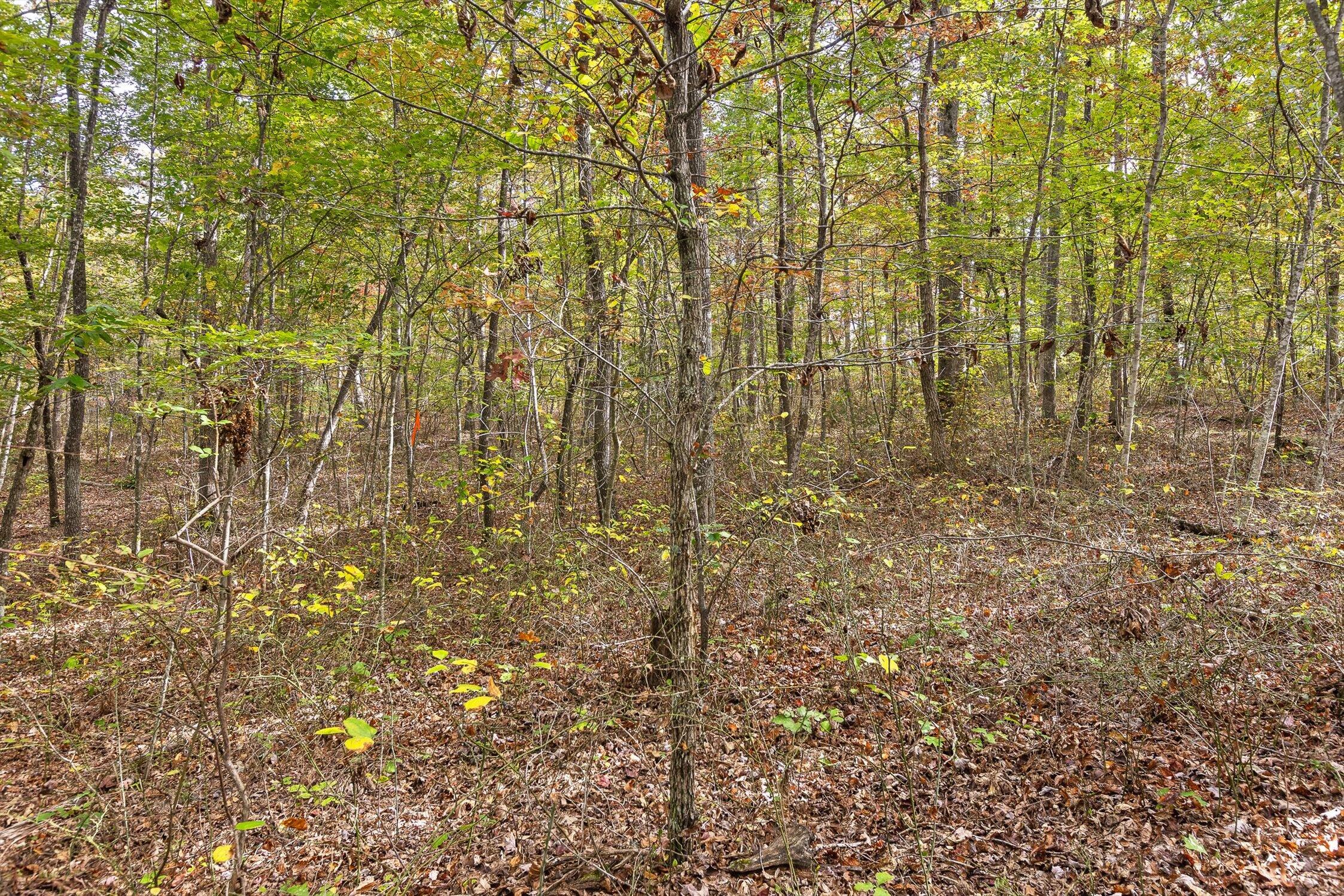 0 Westview Road Spencer, TN 38585 - Photo 27 of 39 Westview Road, Spencer, TN 38585
