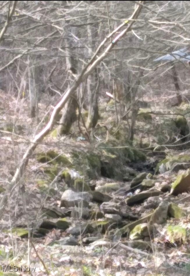 1004 Camp Scott Road Sutton, WV 26601 - Photo 10 of 14 View of landscape