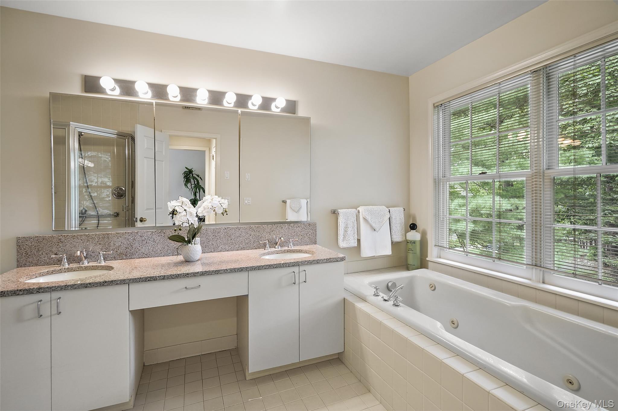 18 Cross River Road Mount Kisco, NY 10549 - Photo 18 of 30 a bathroom with a granite countertop sink a large mirror a bathtub and next to a window