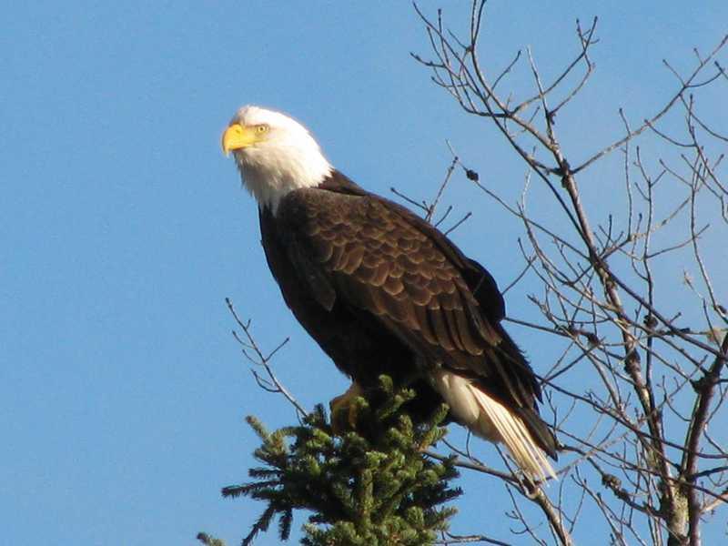 194 Cedar Lake Road Millinocket, ME 04462 - Photo 23 of 30 Other. Nature s magical moments...