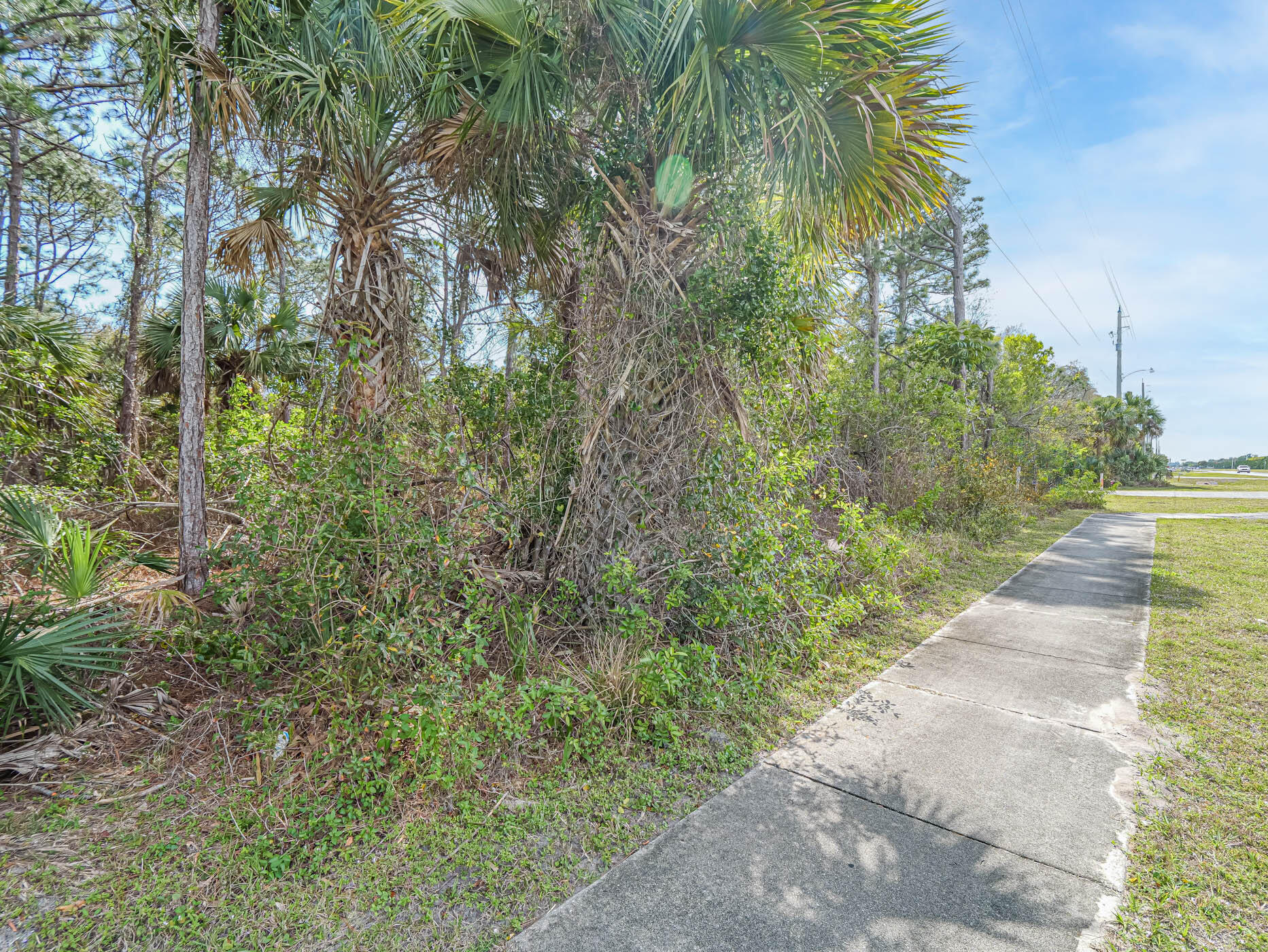 789 Sebastian Boulevard Sebastian, FL 32958 - Photo 11 of 16 a view of a yard with plants and large trees