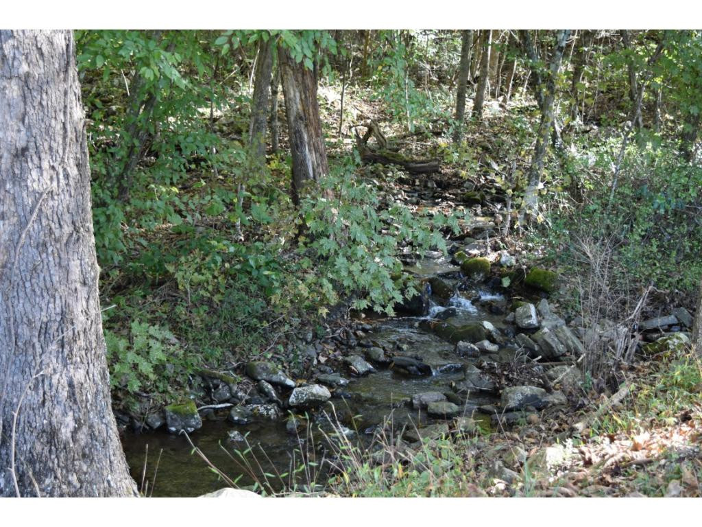 212 Dry Branch Road Elizabethton, TN 37643 - Photo 19 of 26 Babbling Creek across the road