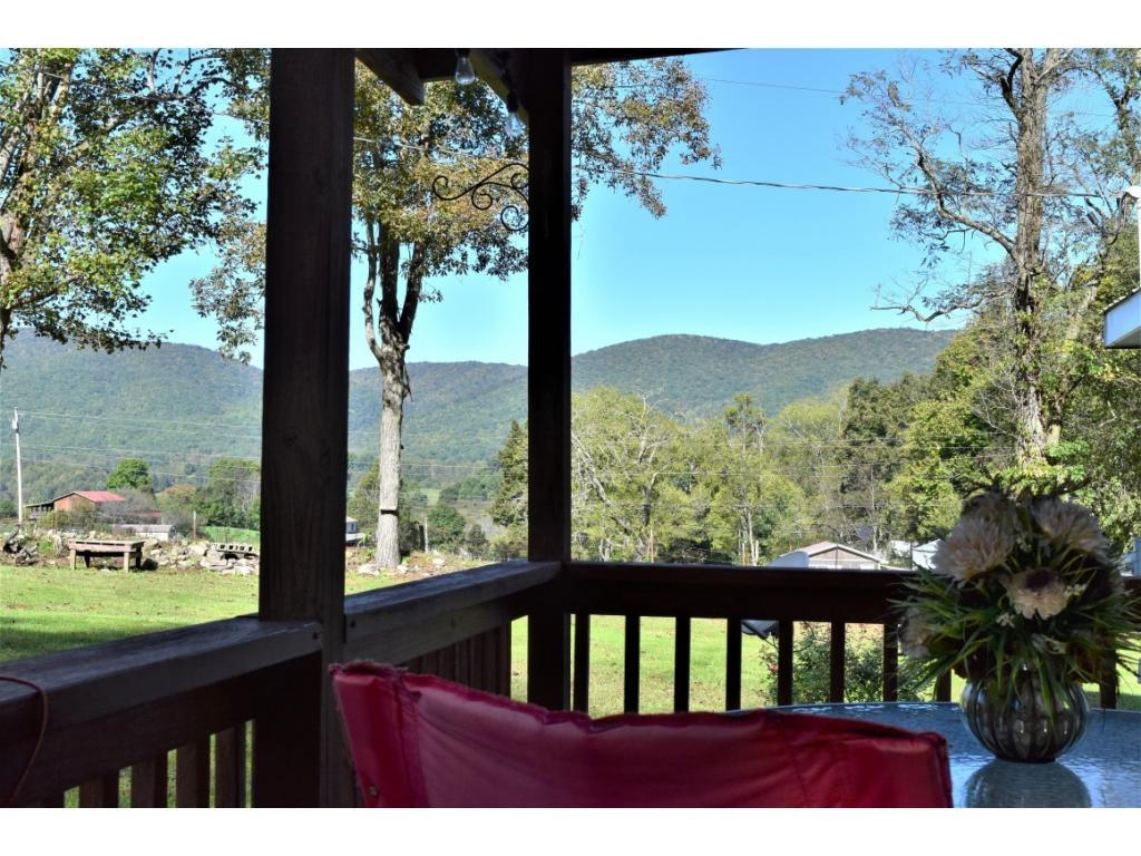 View from the Back Porch