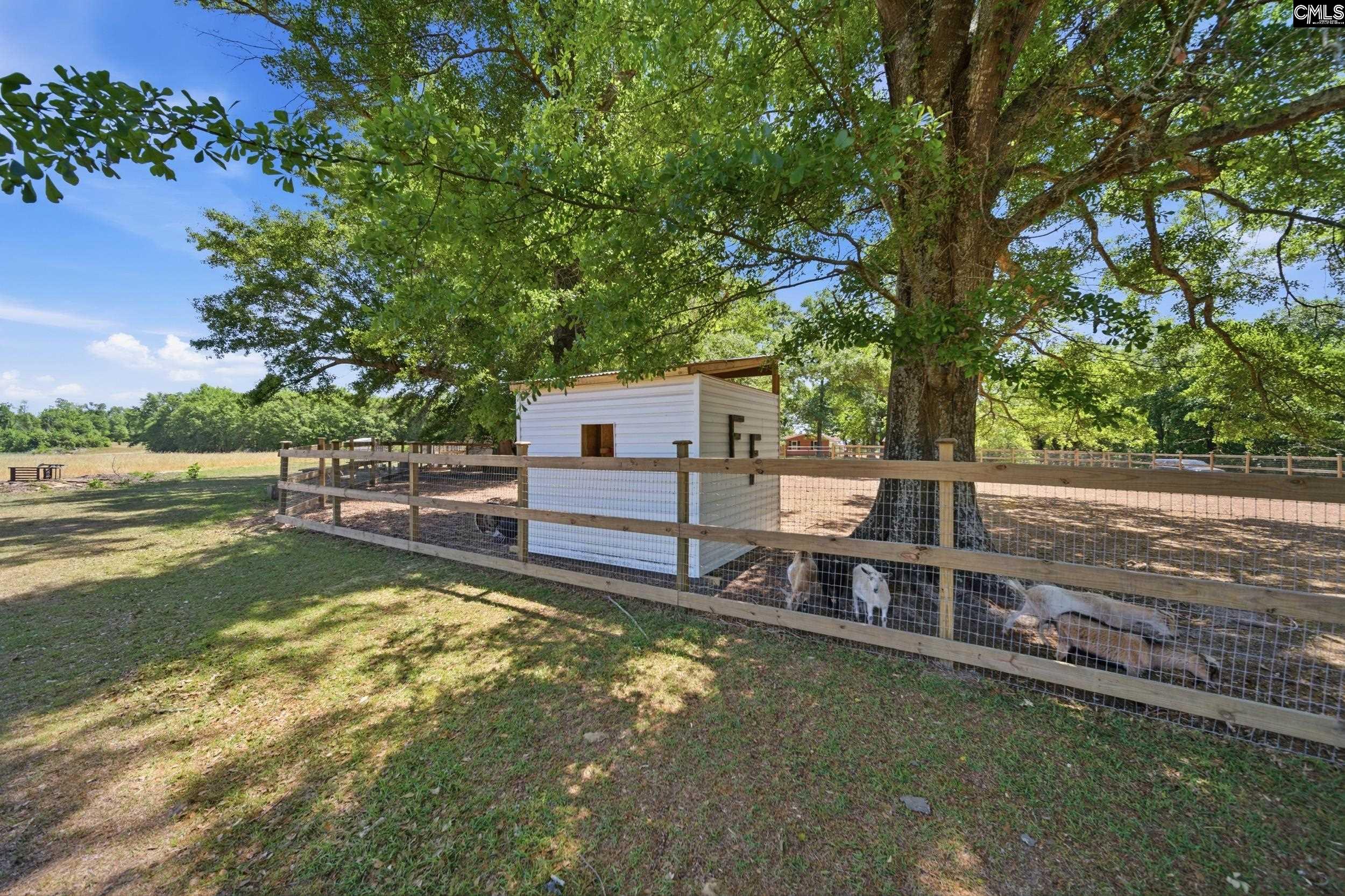695 Hartzog Road Barnwell, SC 29812 - Photo 53 of 75
