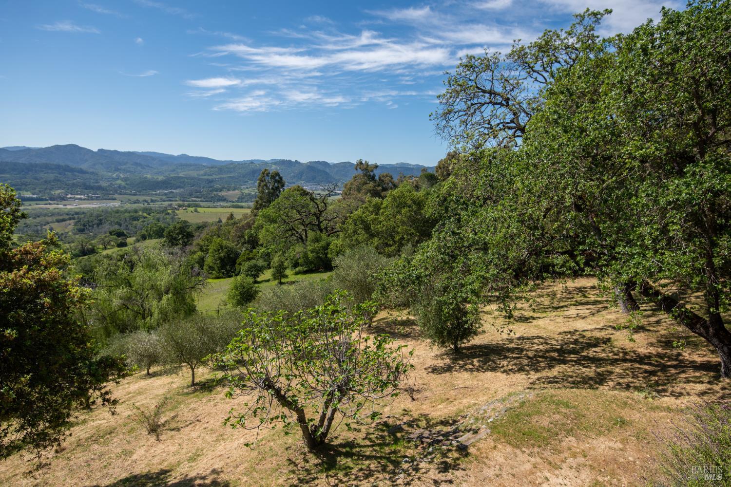 1163 Mountain Pine Road Cloverdale, CA 95425 - Photo 36 of 47