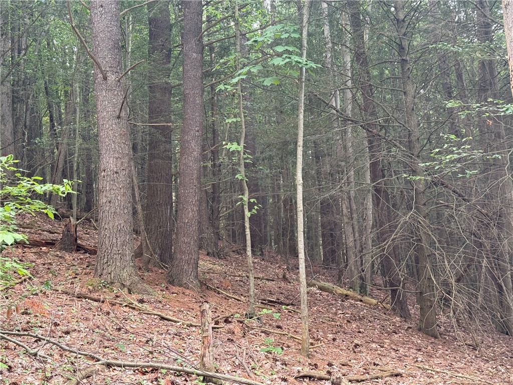0 Ringwood Road Freeville, NY 13068 - Photo 23 of 35 Gallery Image 23