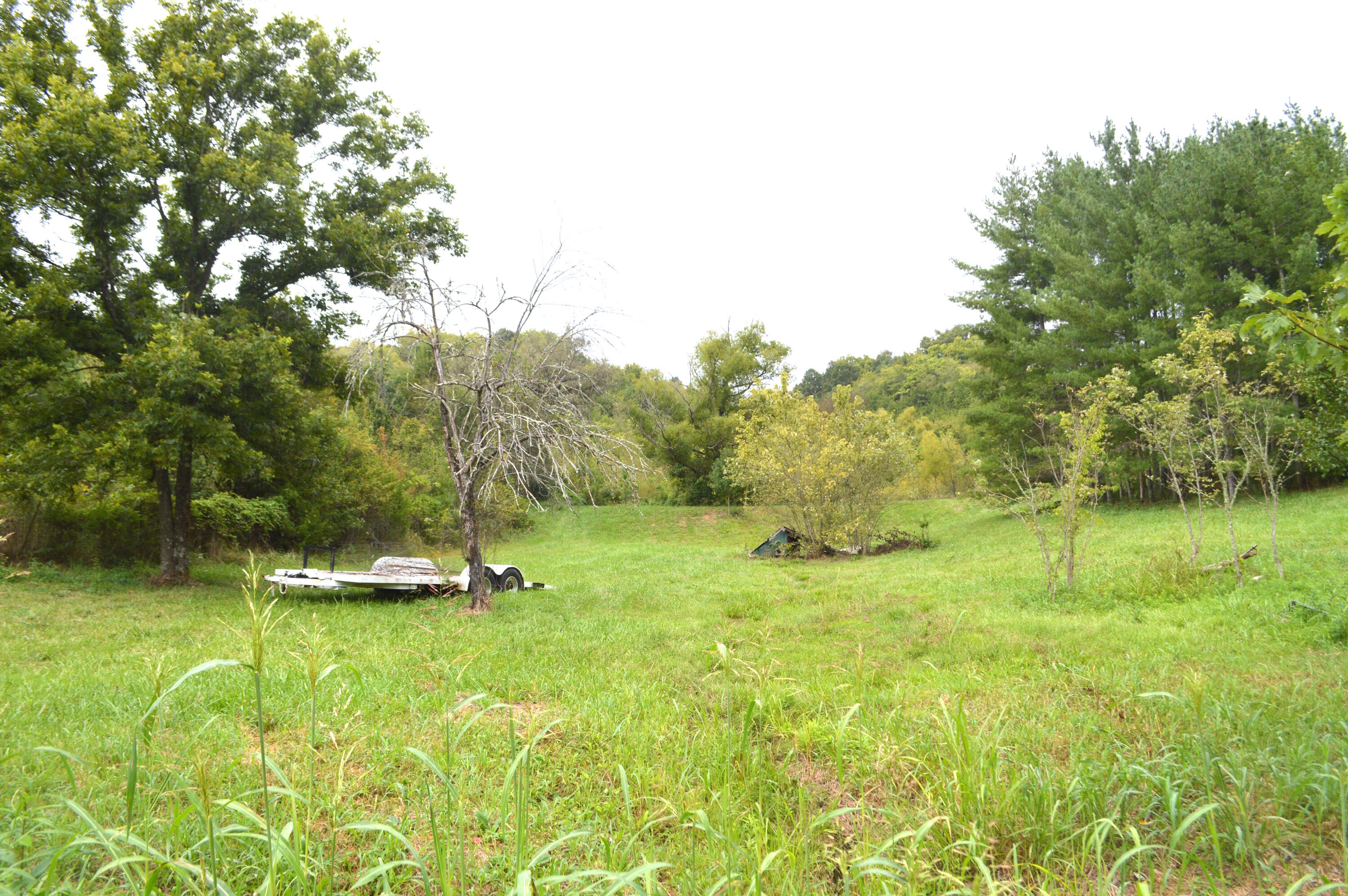 4710 Little Chuckey Road Mosheim, TN 37818 - Photo 14 of 33 DSC_0105