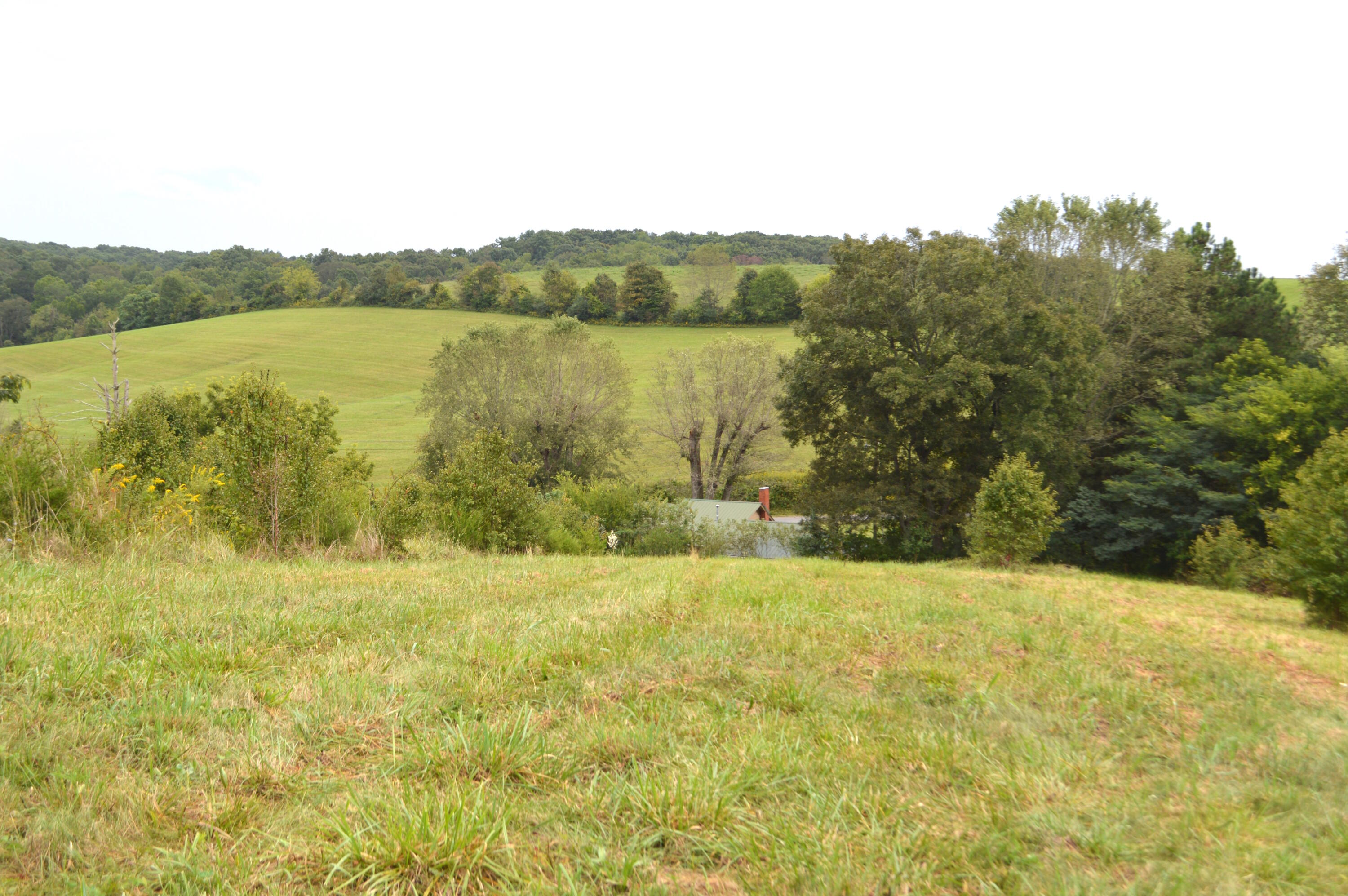 4710 Little Chuckey Road Mosheim, TN 37818 - Photo 7 of 33 DSC_0152