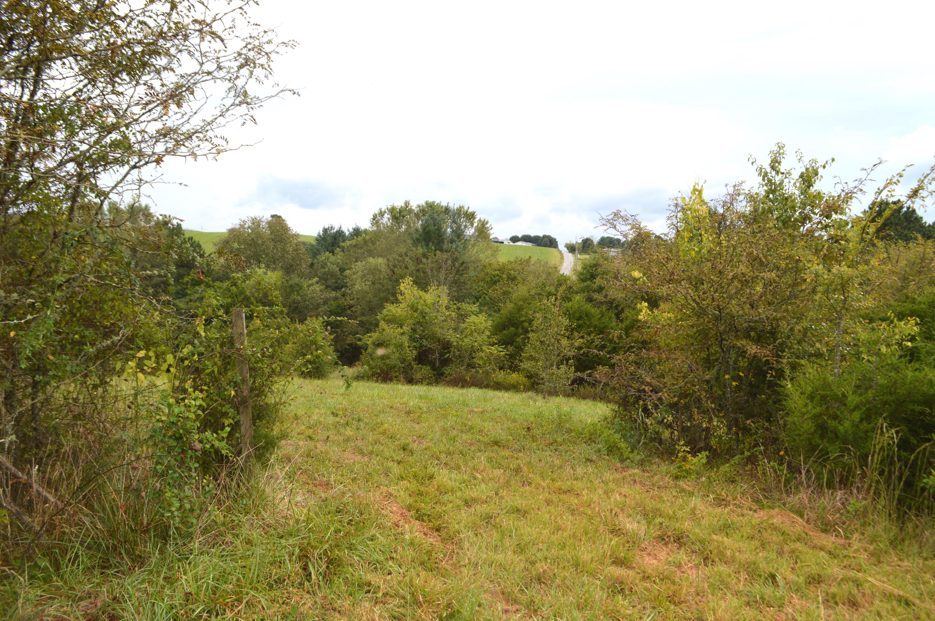 4710 Little Chuckey Road Mosheim, TN 37818 - Photo 8 of 33 DSC_0149