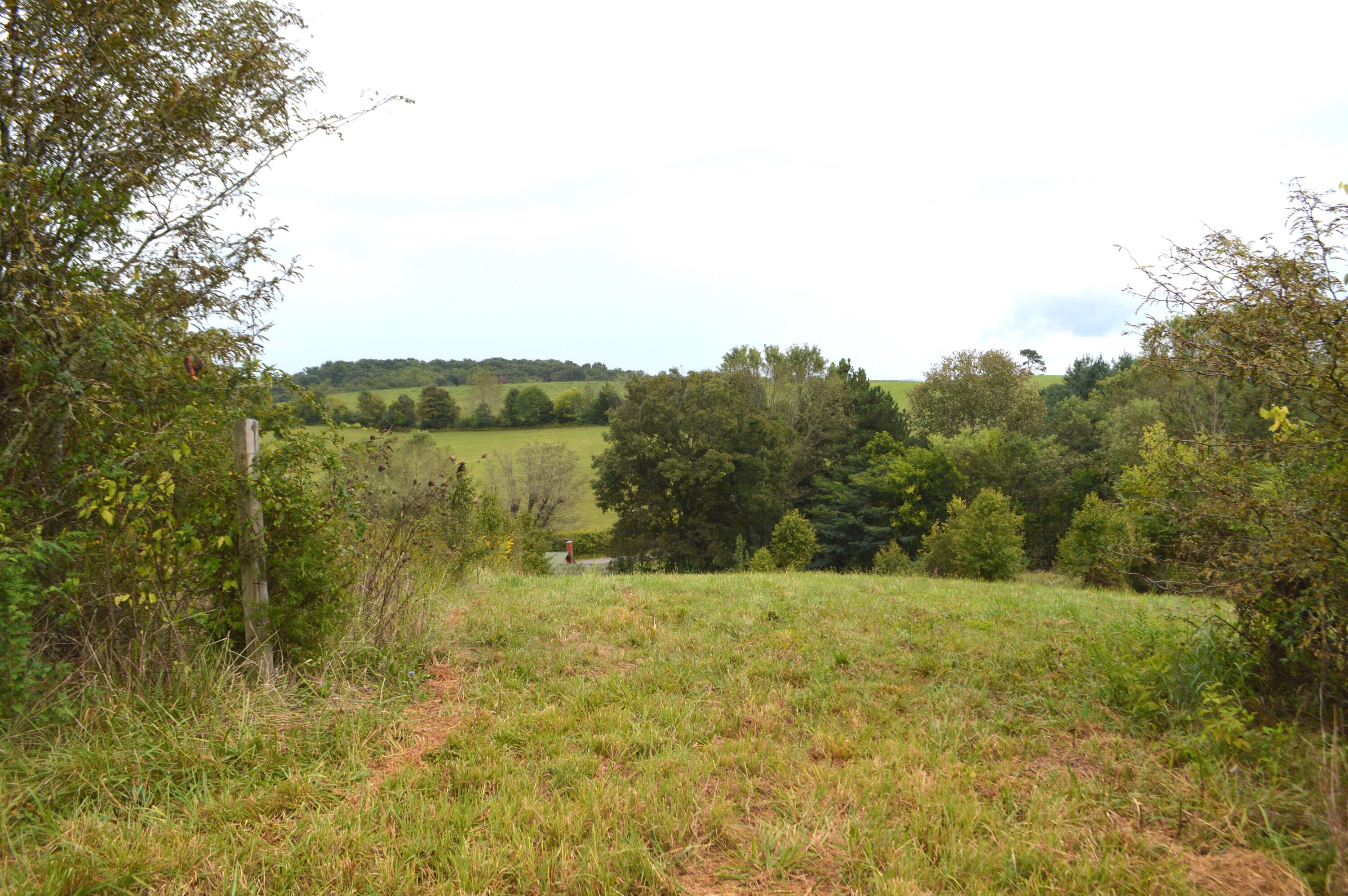 4710 Little Chuckey Road Mosheim, TN 37818 - Photo 9 of 33 DSC_0150