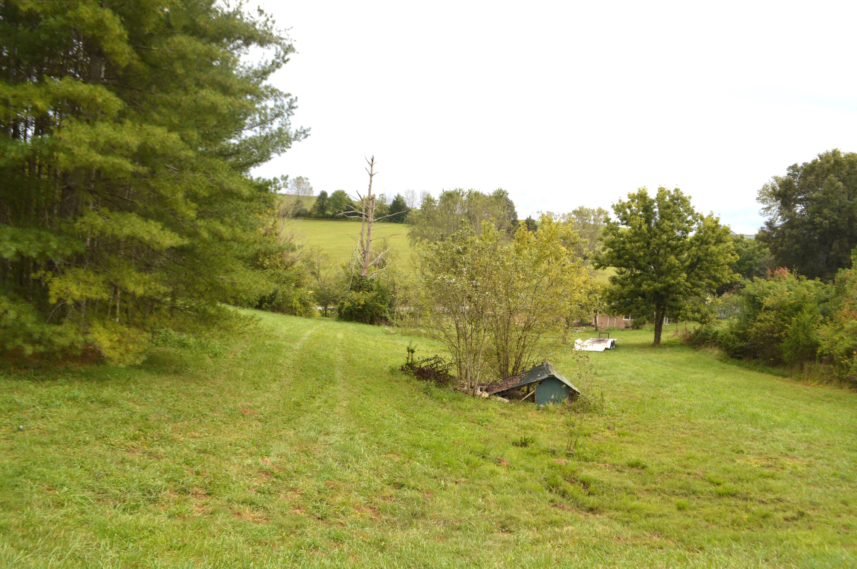 4710 Little Chuckey Road Mosheim, TN 37818 - Photo 10 of 33 DSC_0147