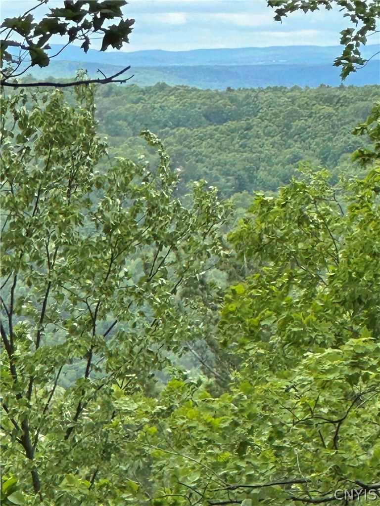 1501 Old State Road Colesville, NY 13833 - Photo 1 of 28