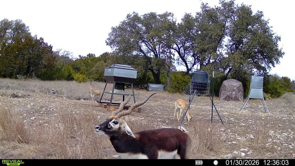 0 Oak Ridge Ranch Junction Junction, TX 76849 - Photo 21 of 22