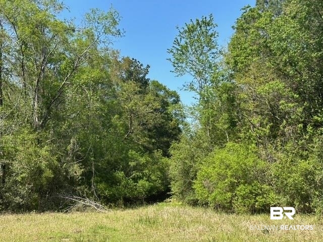 0 I-65 Service Road Satsuma, AL 36572 - Photo 20 of 27 View of local wilderness featuring a forest view
