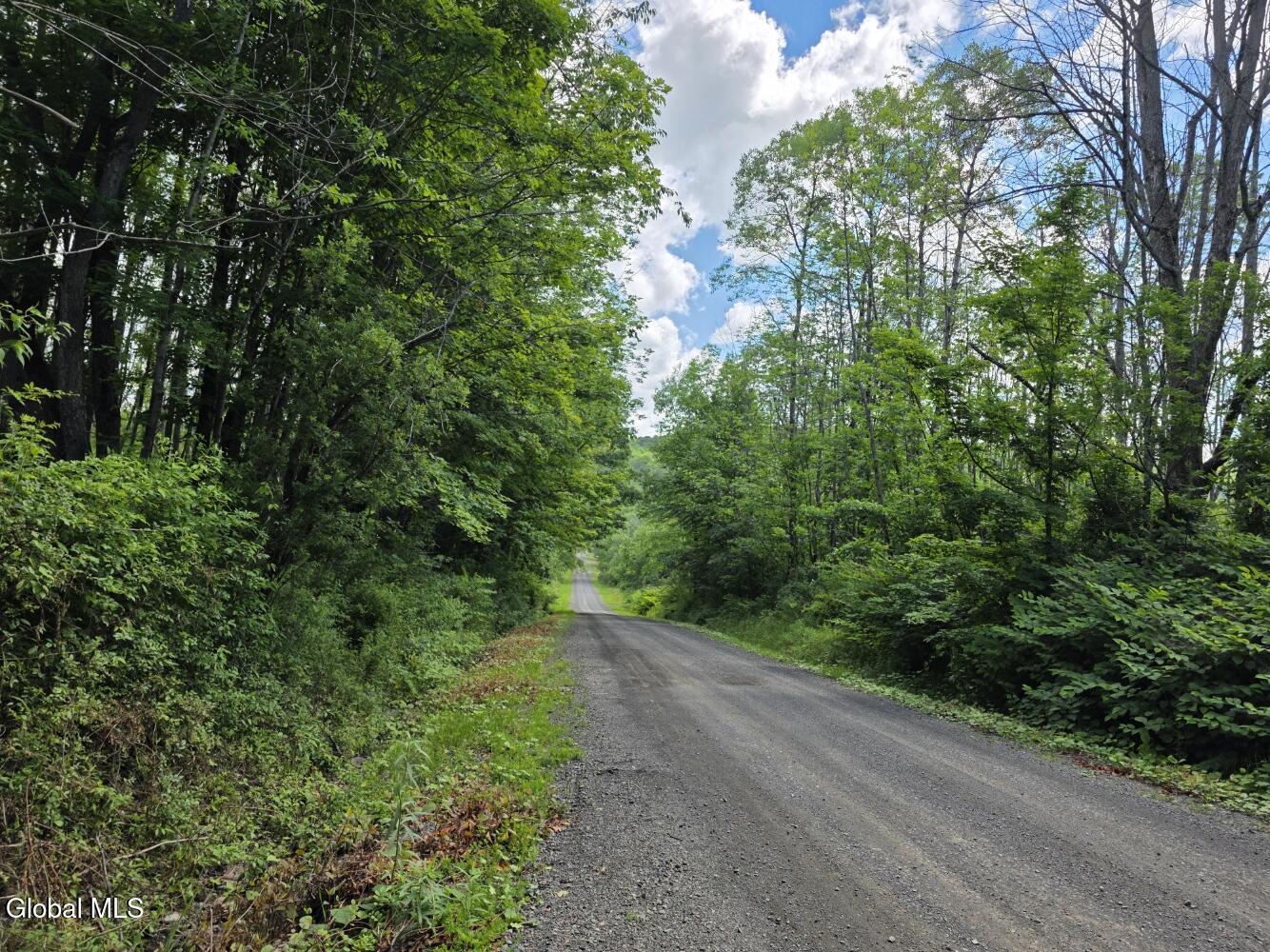 419 Halbert Hill Road Butternuts, NY 13843 - Photo 47 of 48 20260624_104900