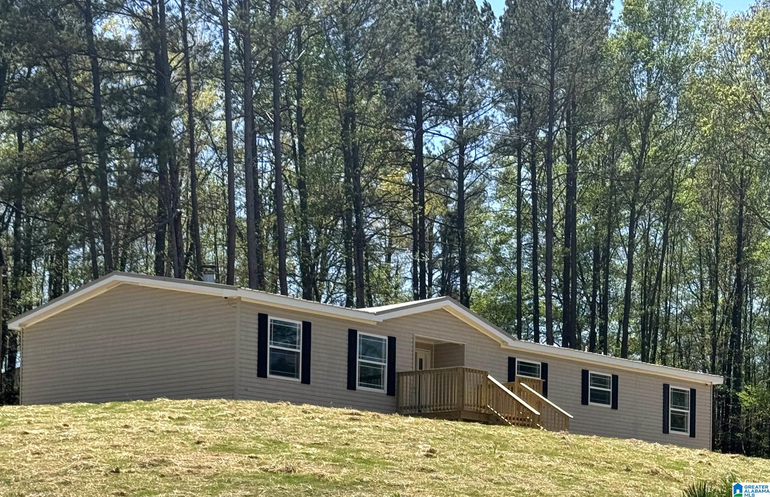 16756 Highway 78 Fruithurst, AL 36262 - Photo 2 of 44