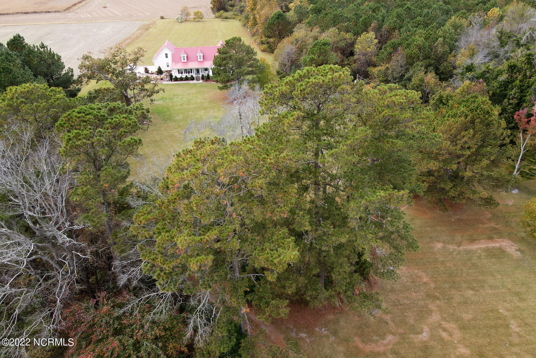 3900 Bell Road Fountain, NC 27829 - Photo 53 of 63 3900 Bell Road-00053