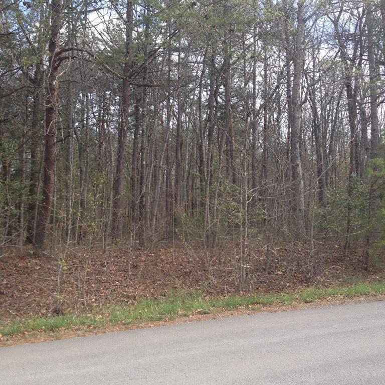 2233 Little Bend Road Signal Mountain, TN 37377 - Photo 3 of 4 IMG_0246