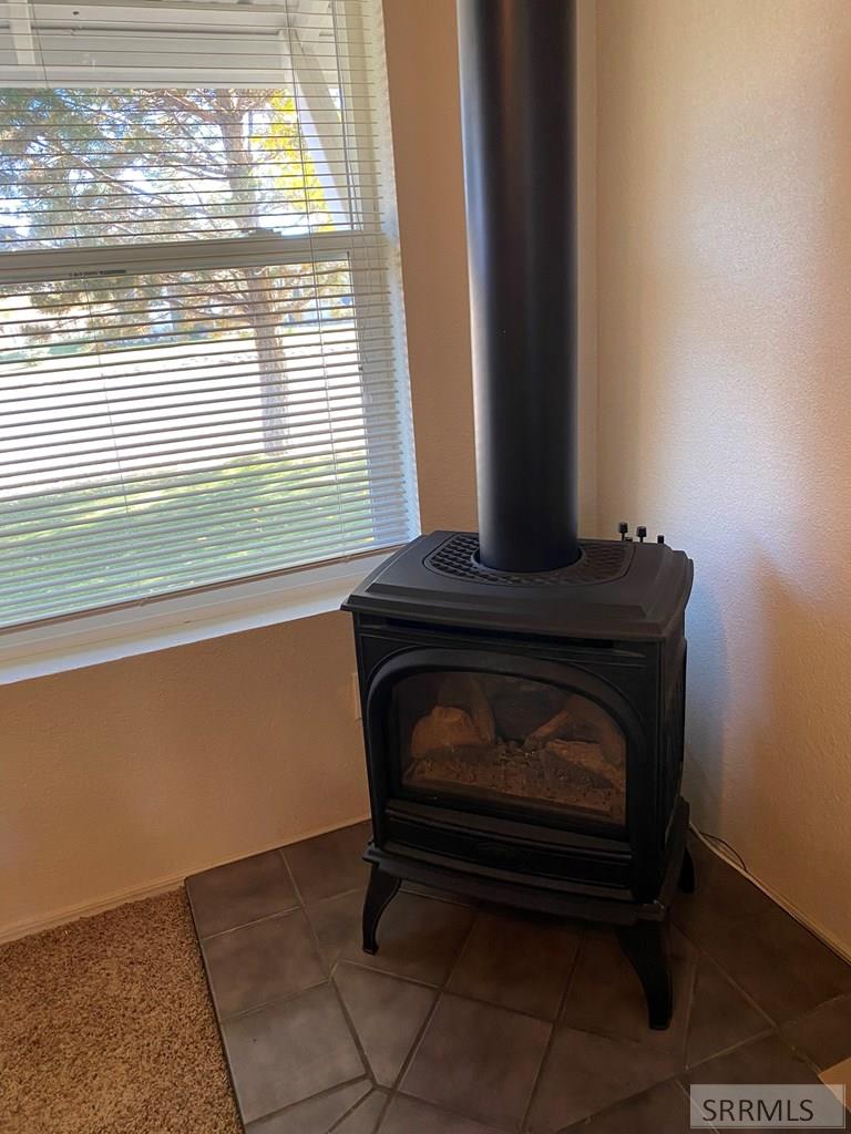 310 Apex Lane Challis, ID 83226 - Photo 8 of 50